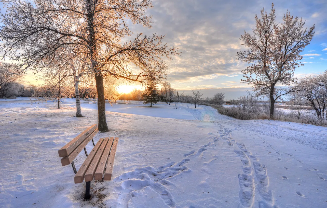 Photo wallpaper winter, snow, bench