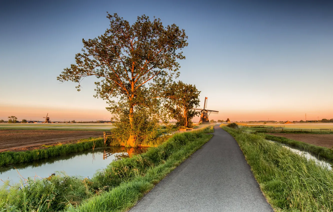 Photo wallpaper road, trees, mill, Netherlands, Regions