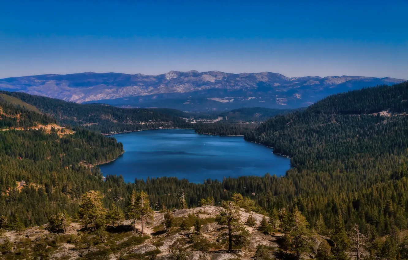 Photo wallpaper forest, mountains, CA, Donner lake