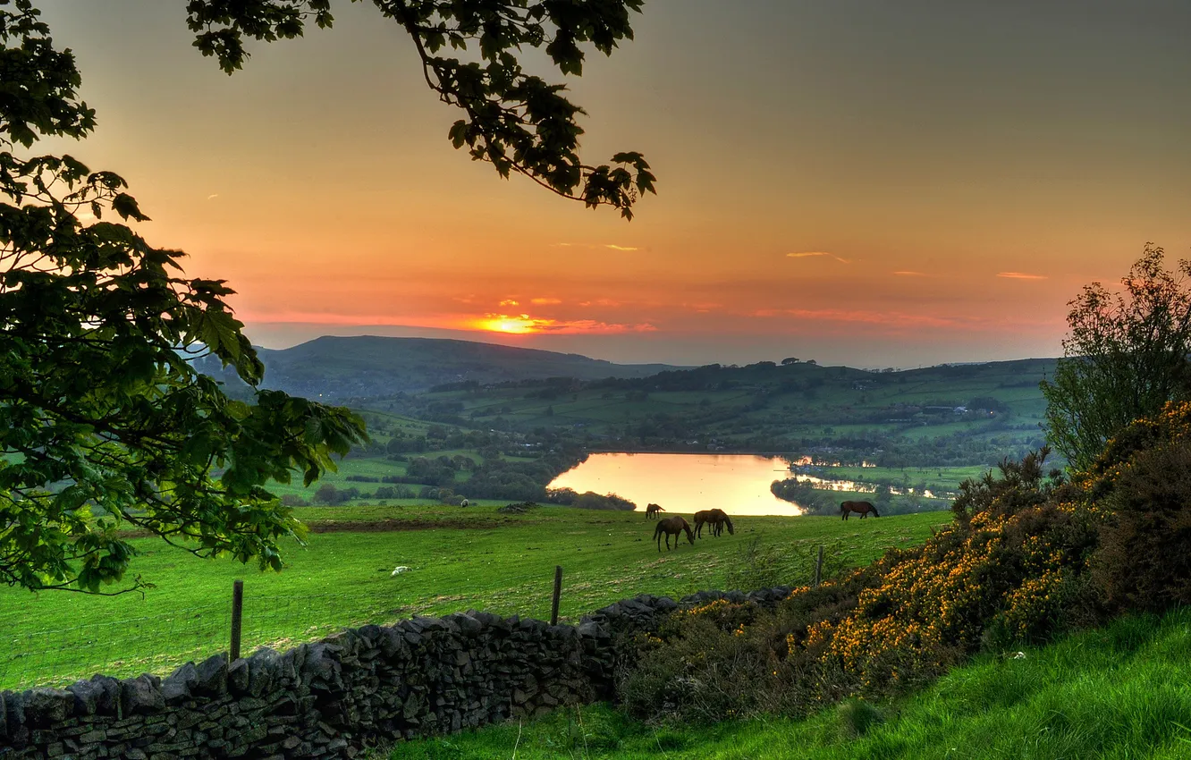 Photo wallpaper sunset, lake, horse, pasture