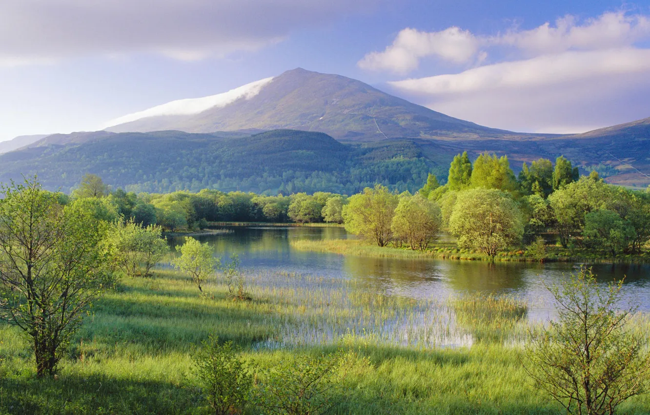 Photo wallpaper forest, grass, mountains, nature, lake, hills, shore