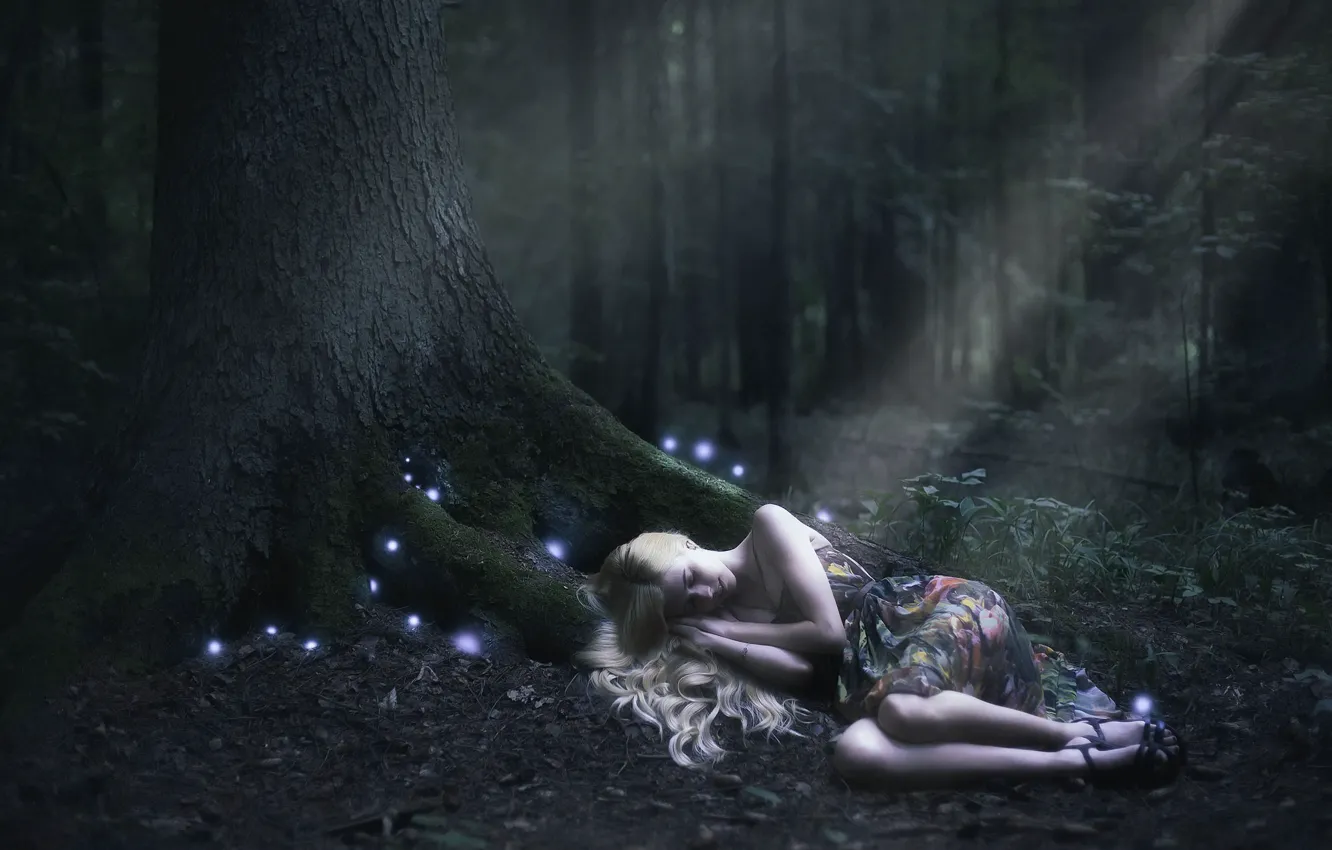 Photo wallpaper forest, girl, night