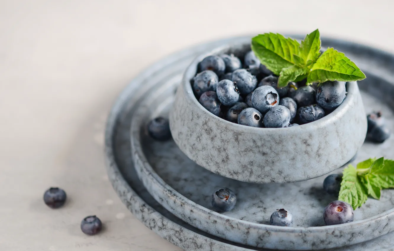 Photo wallpaper berries, bowl, blueberries, Iryna Melnyk