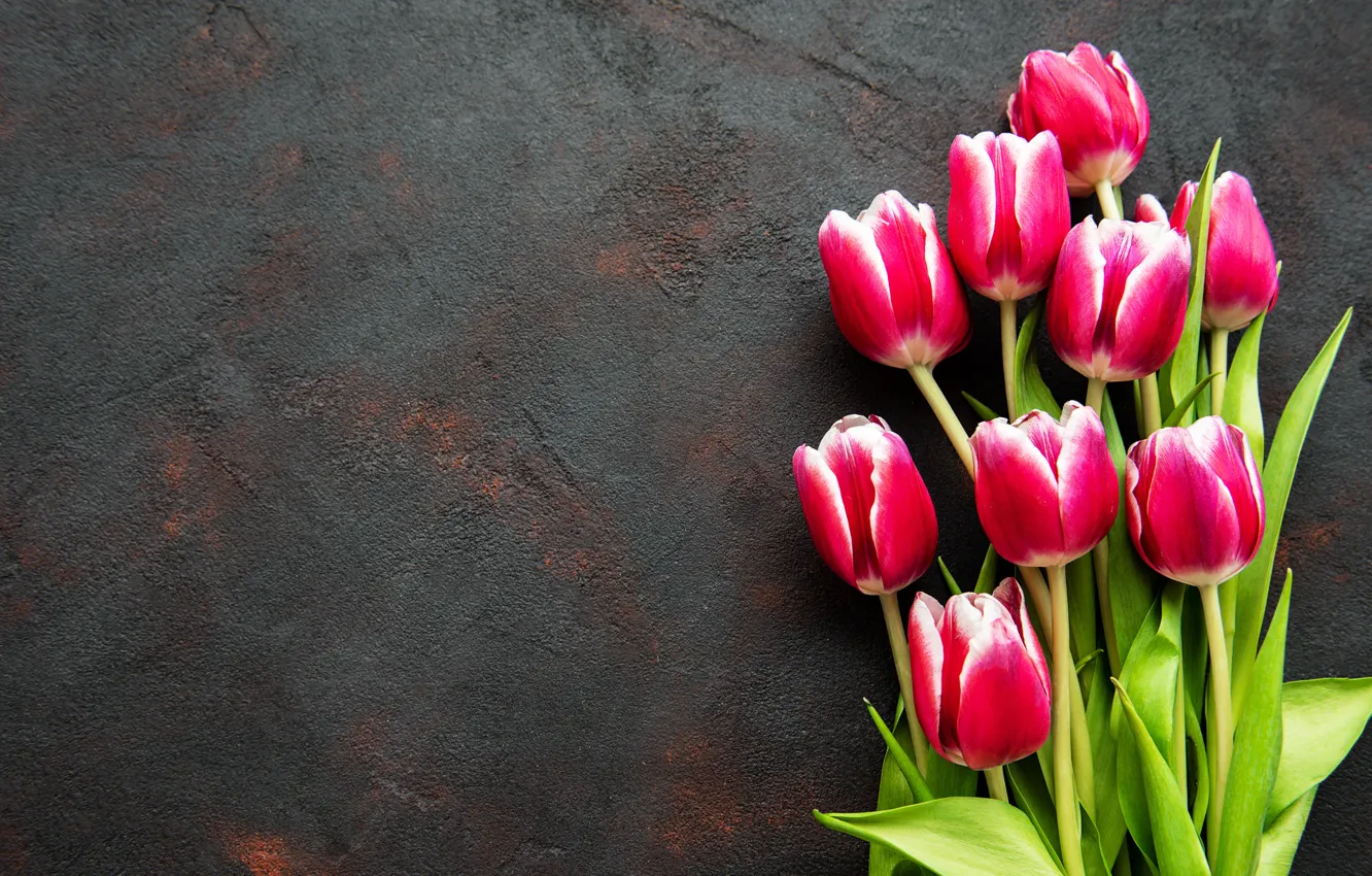 Photo wallpaper flowers, bouquet, tulips, pink, pink, flowers, tulips
