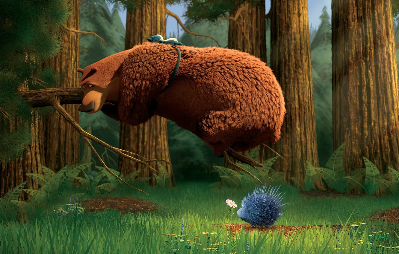 Photo wallpaper Bear, Hunting Season, A porcupine