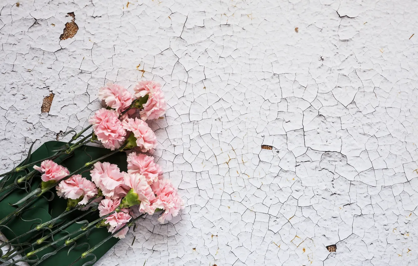 Photo wallpaper flowers, pink, wood, pink, flowers, clove