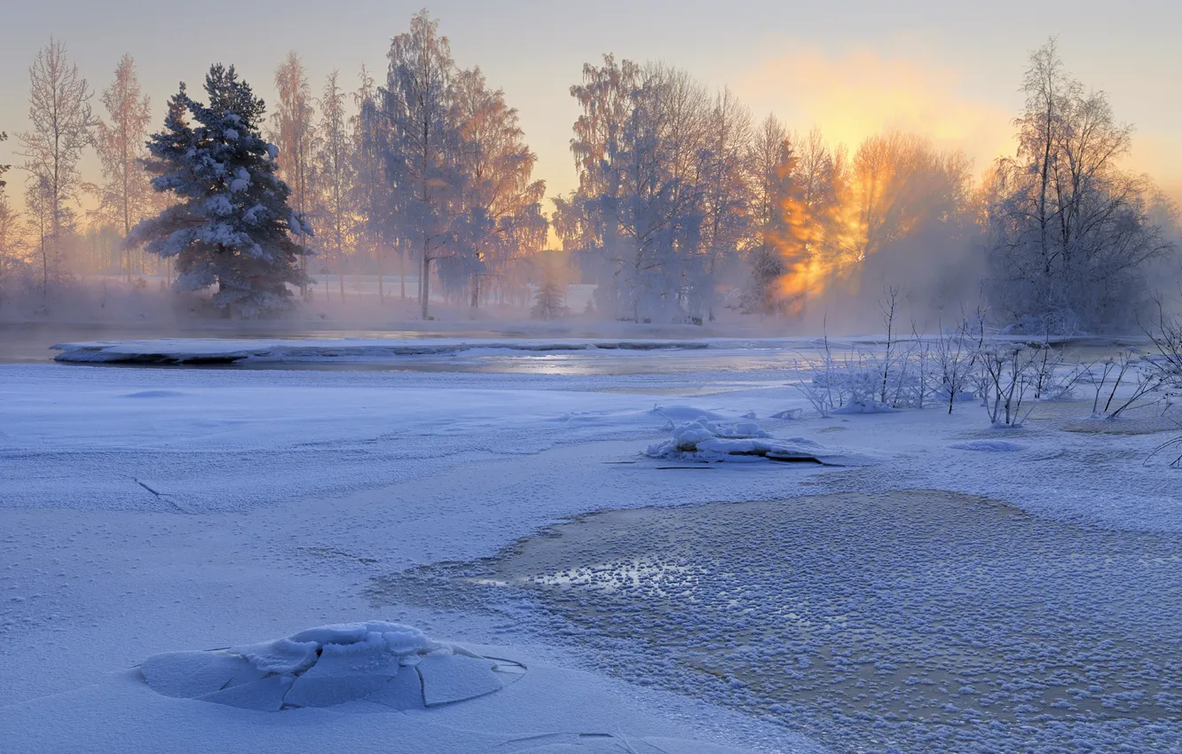 Photo wallpaper winter, snow, trees, nature, river, sunrise, morning, Sweden