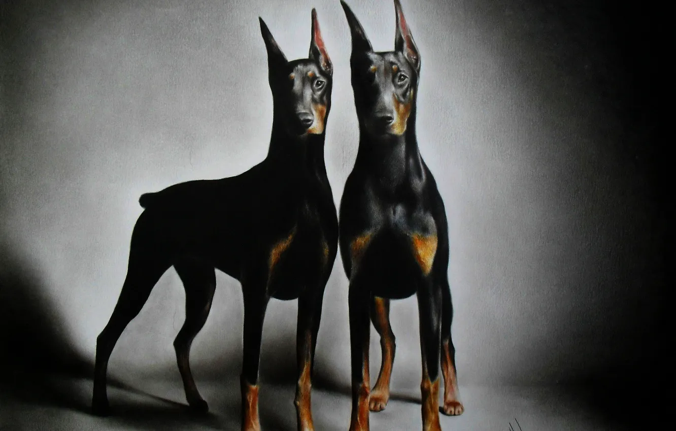 Photo wallpaper graphics, painting, brothers, Doberman, Alex