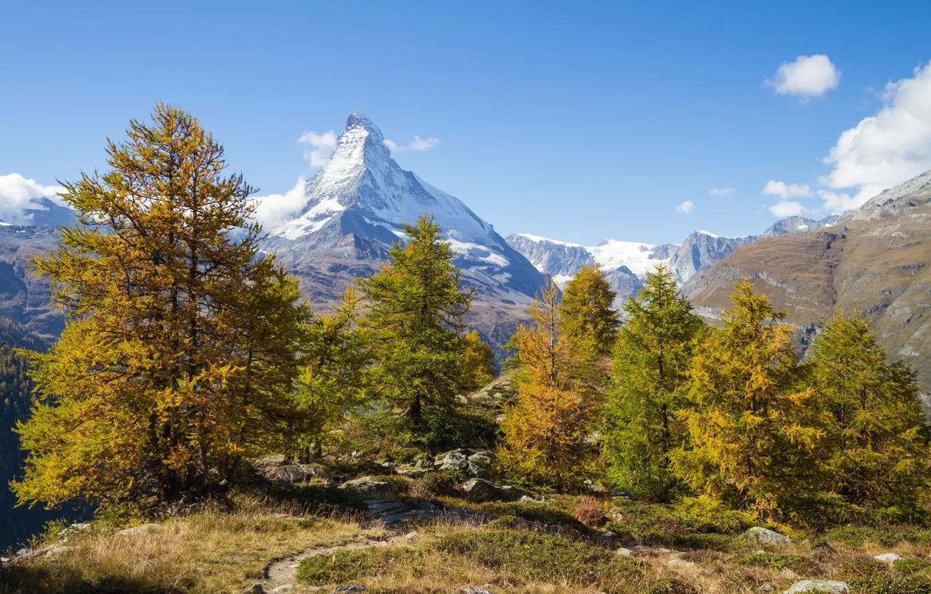 Photo wallpaper autumn, trees, mountains, Switzerland, Switzerland, Canton of Valais, Findeln