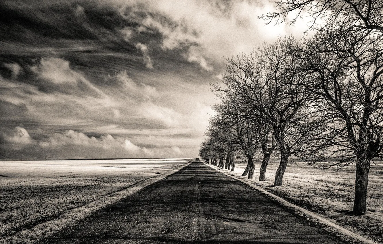 Photo wallpaper road, field, trees, Infinity, infinity