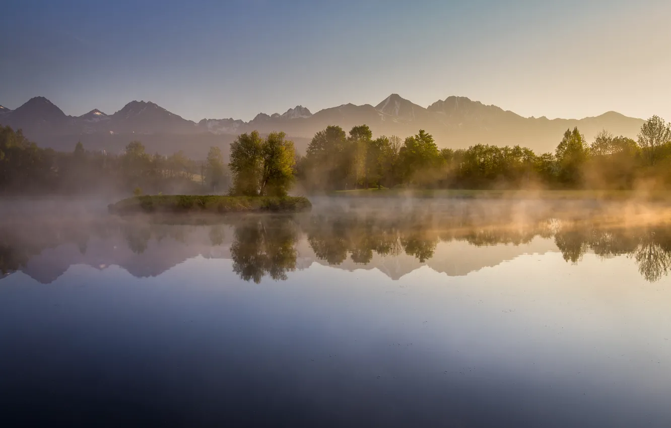 Photo wallpaper forest, trees, mountains, lake, morning, haze