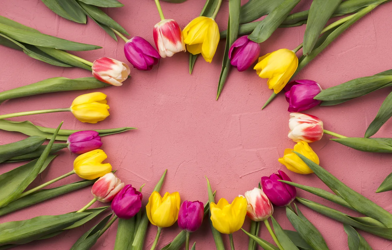 Photo wallpaper flowers, tulips, pink, yellow, pink, flowers, tulips