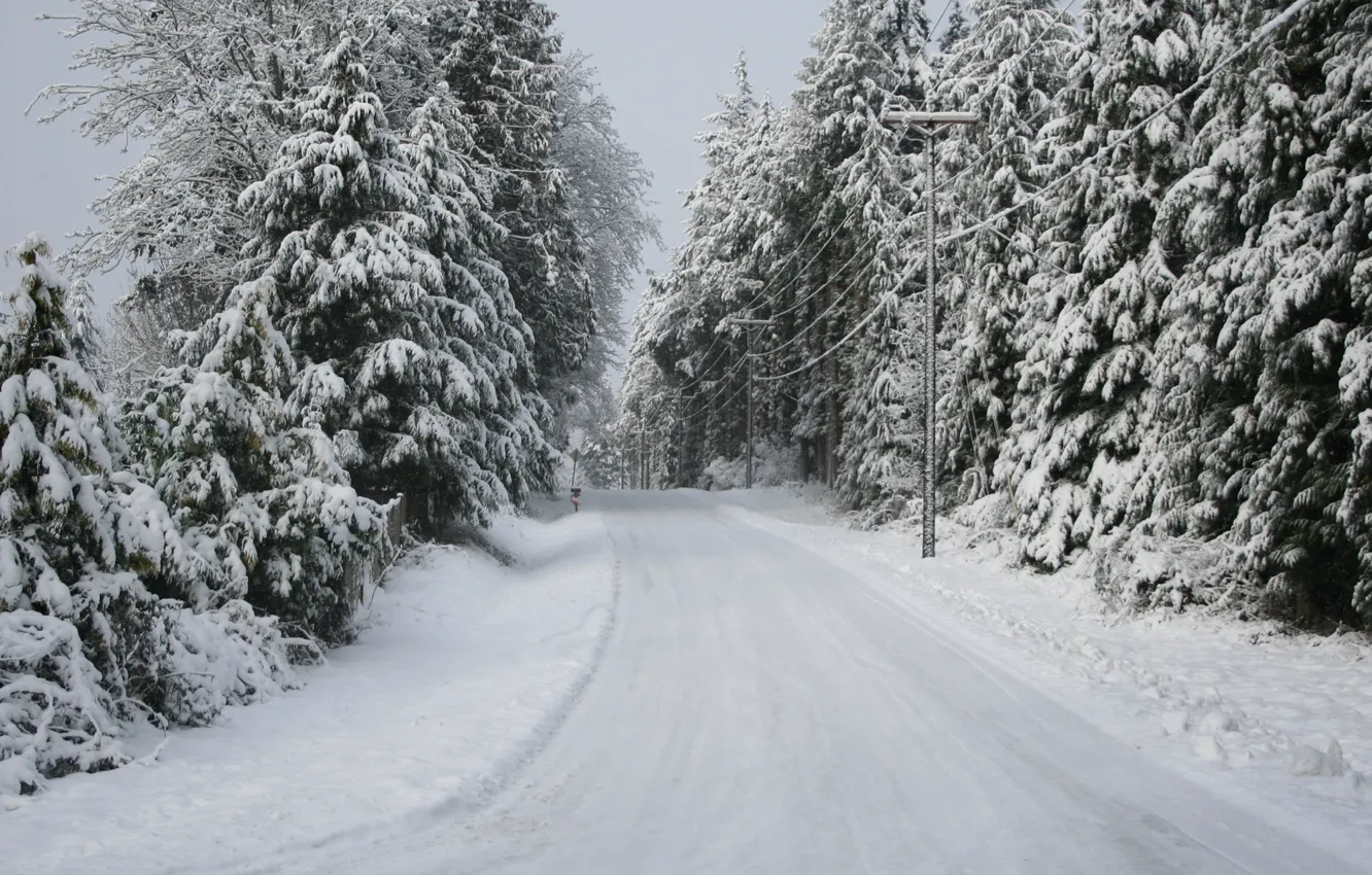 Photo wallpaper road, trees, winter, snow