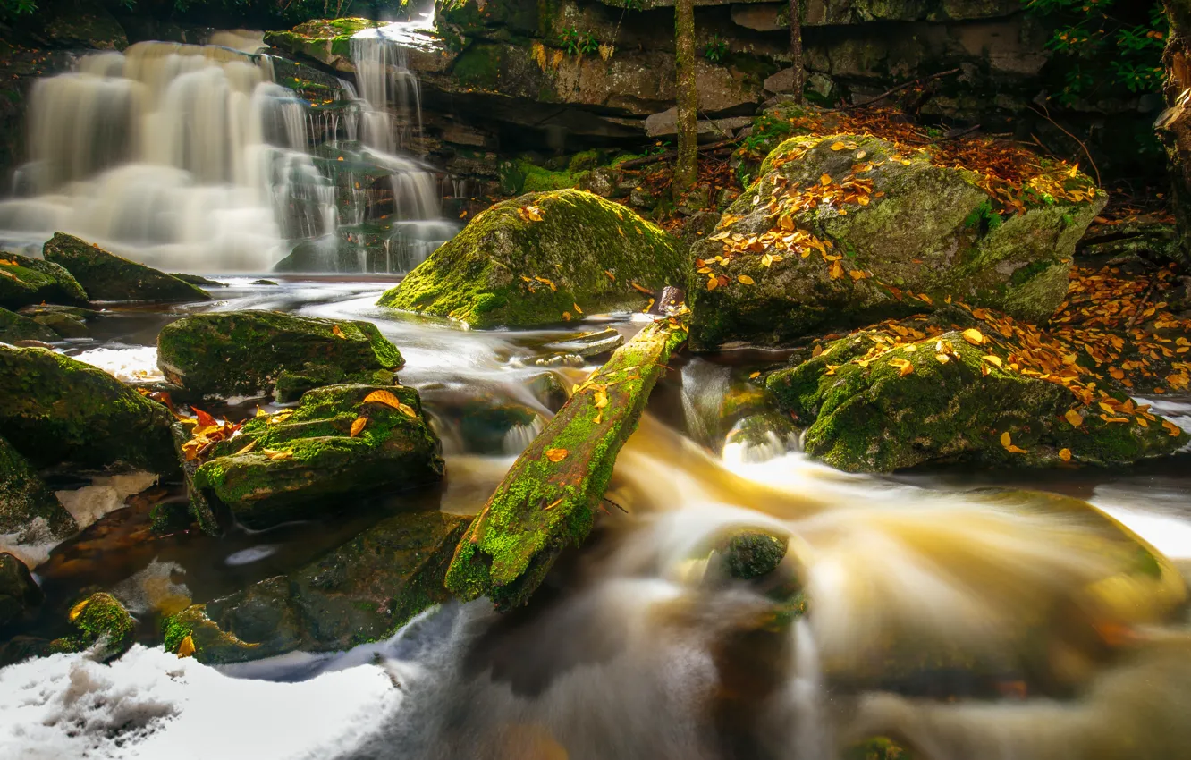 Photo wallpaper autumn, leaves, river, stones, waterfall, moss, cascade, West Virginia