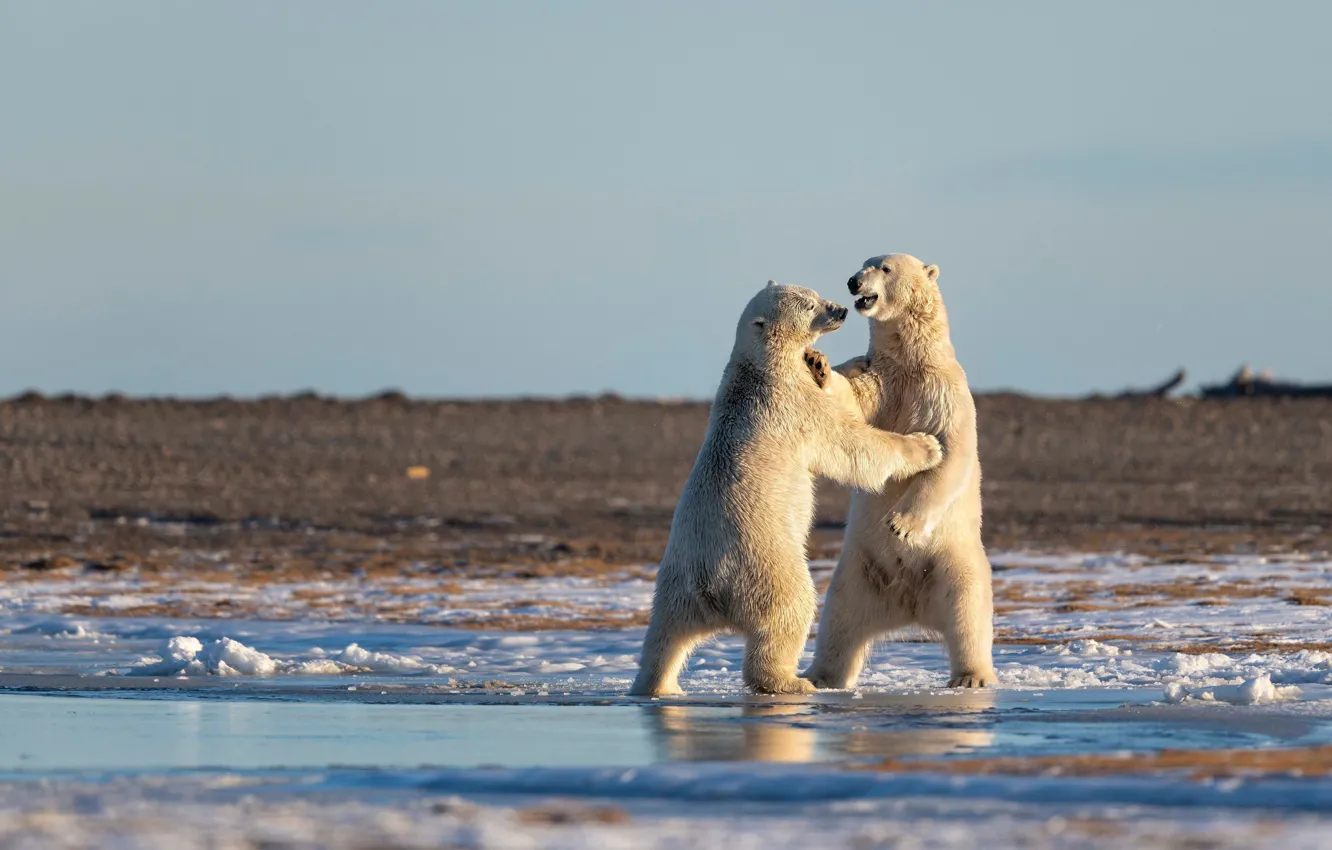 Photo wallpaper ice, winter, white, snow, nature, pose, shore, the game