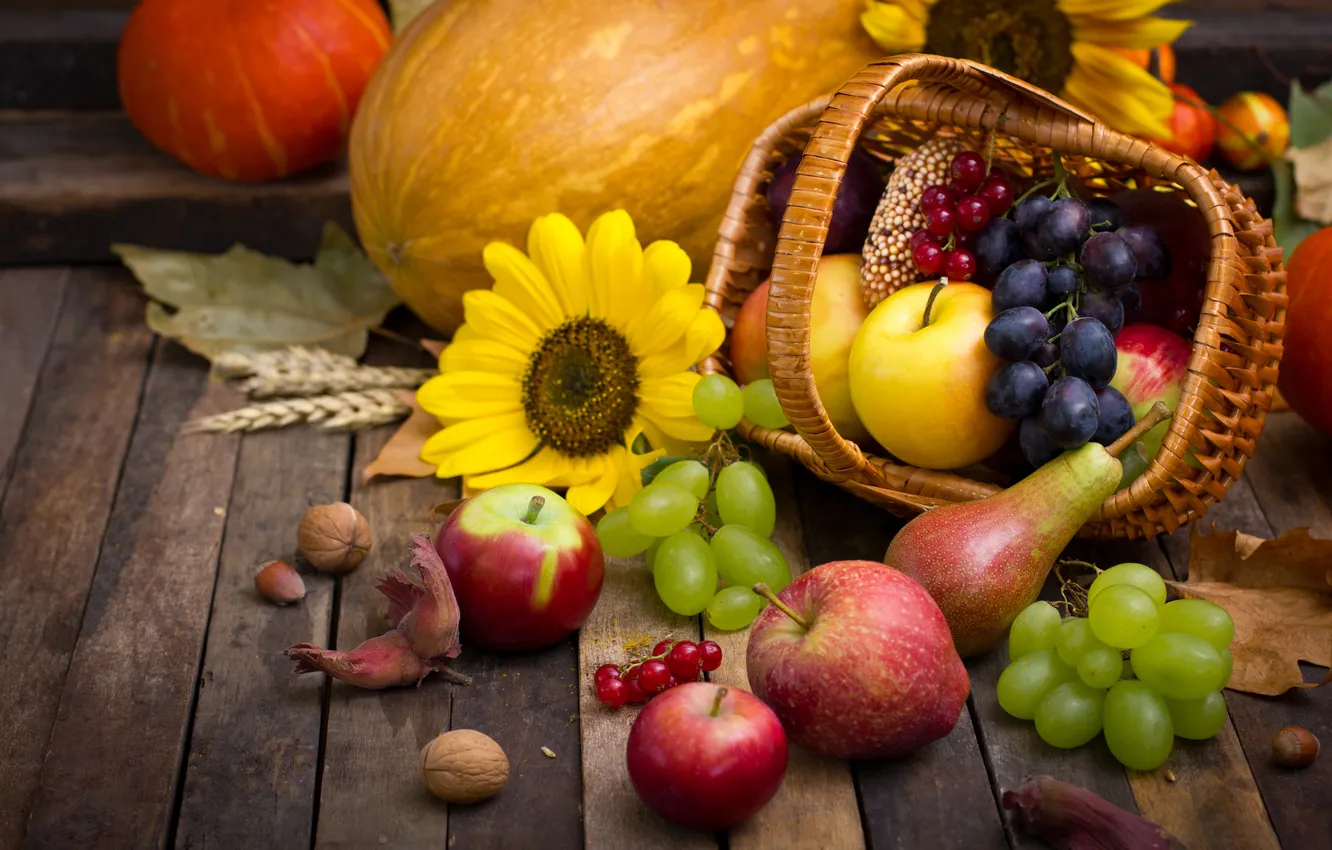 Photo wallpaper autumn, harvest, pumpkin, autumn, leaves, nuts, still life, fruits