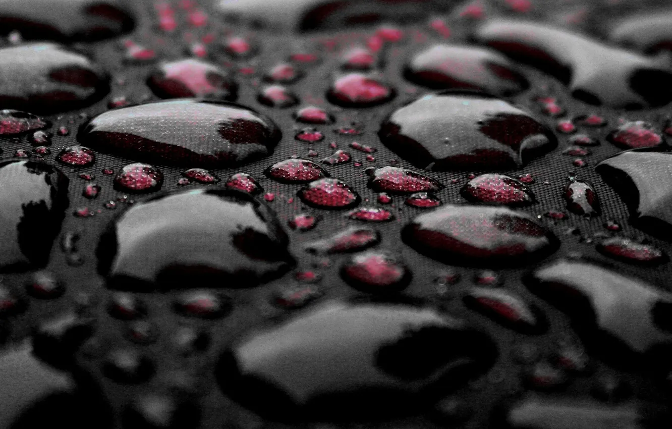Photo wallpaper red, wet, drops, water drop