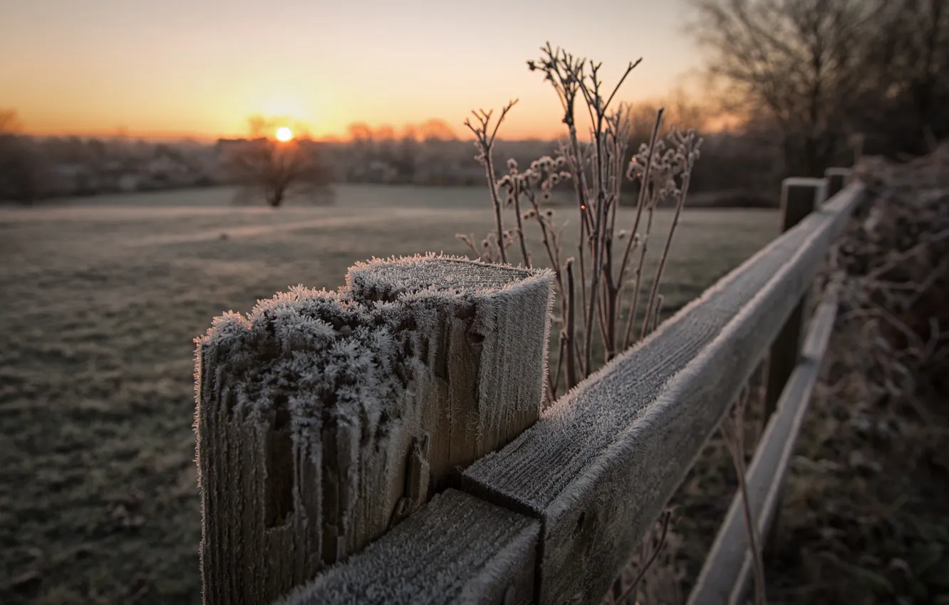 Photo wallpaper nature, the fence, morning
