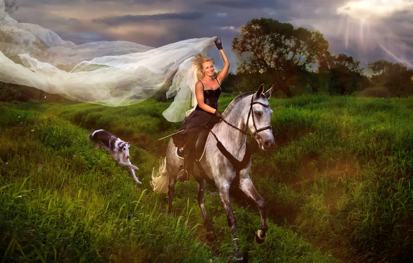 Photo wallpaper girl, horse, dog, rider, veil, Greyhound