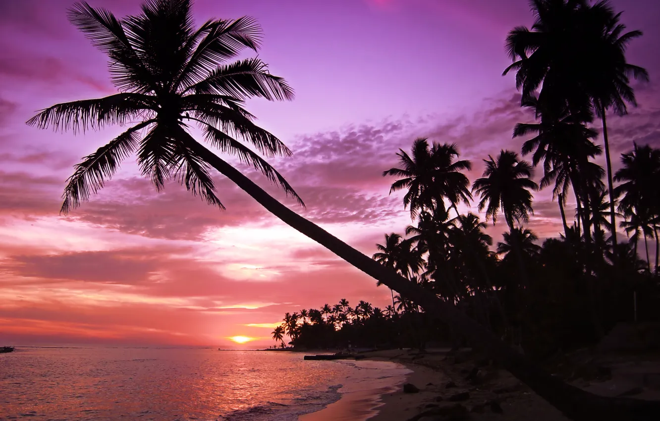 Photo wallpaper sea, wave, beach, the sky, landscape, sunset, palm trees, island