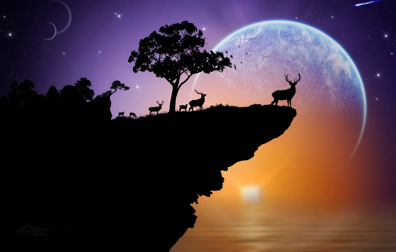 Photo wallpaper sea, the sky, stars, sunset, rock, tree, planet, deer