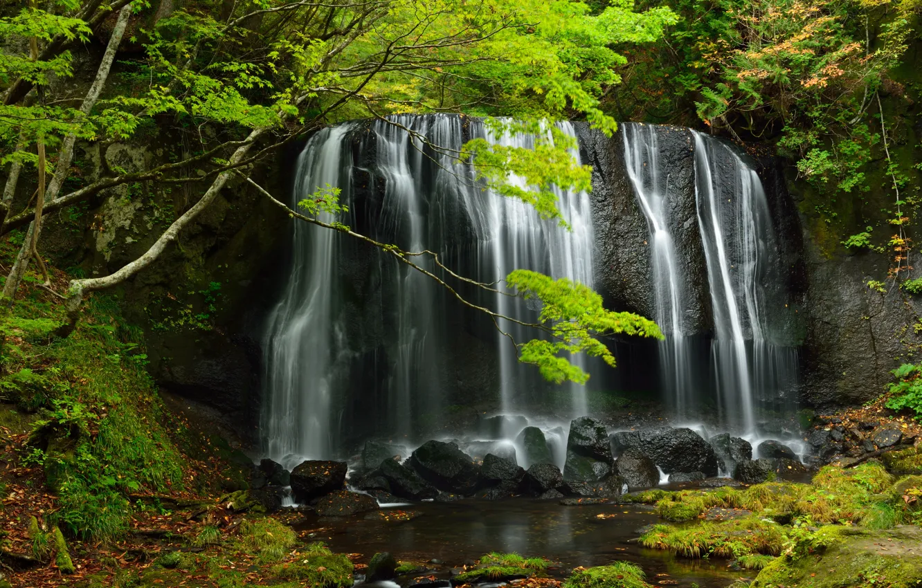 Photo wallpaper water, trees, green, stones, waterfall