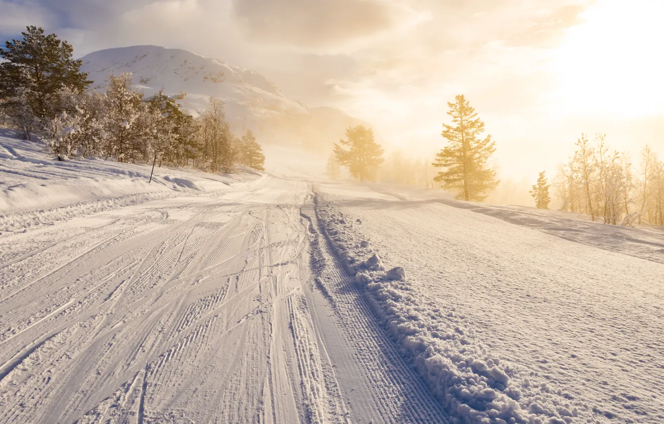 Photo wallpaper winter, road, forest, the sun, clouds, rays, light, snow