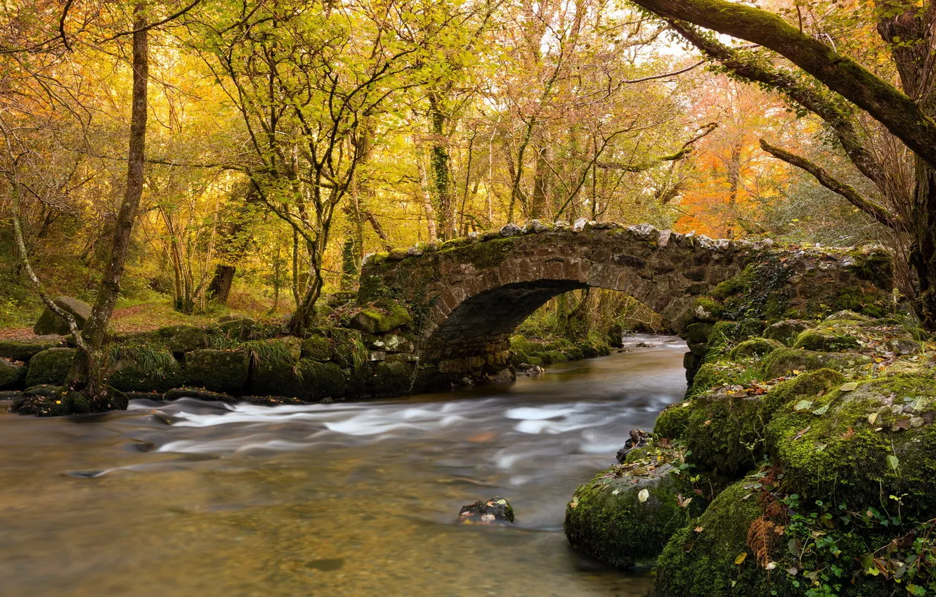 Photo wallpaper autumn, bridge, river