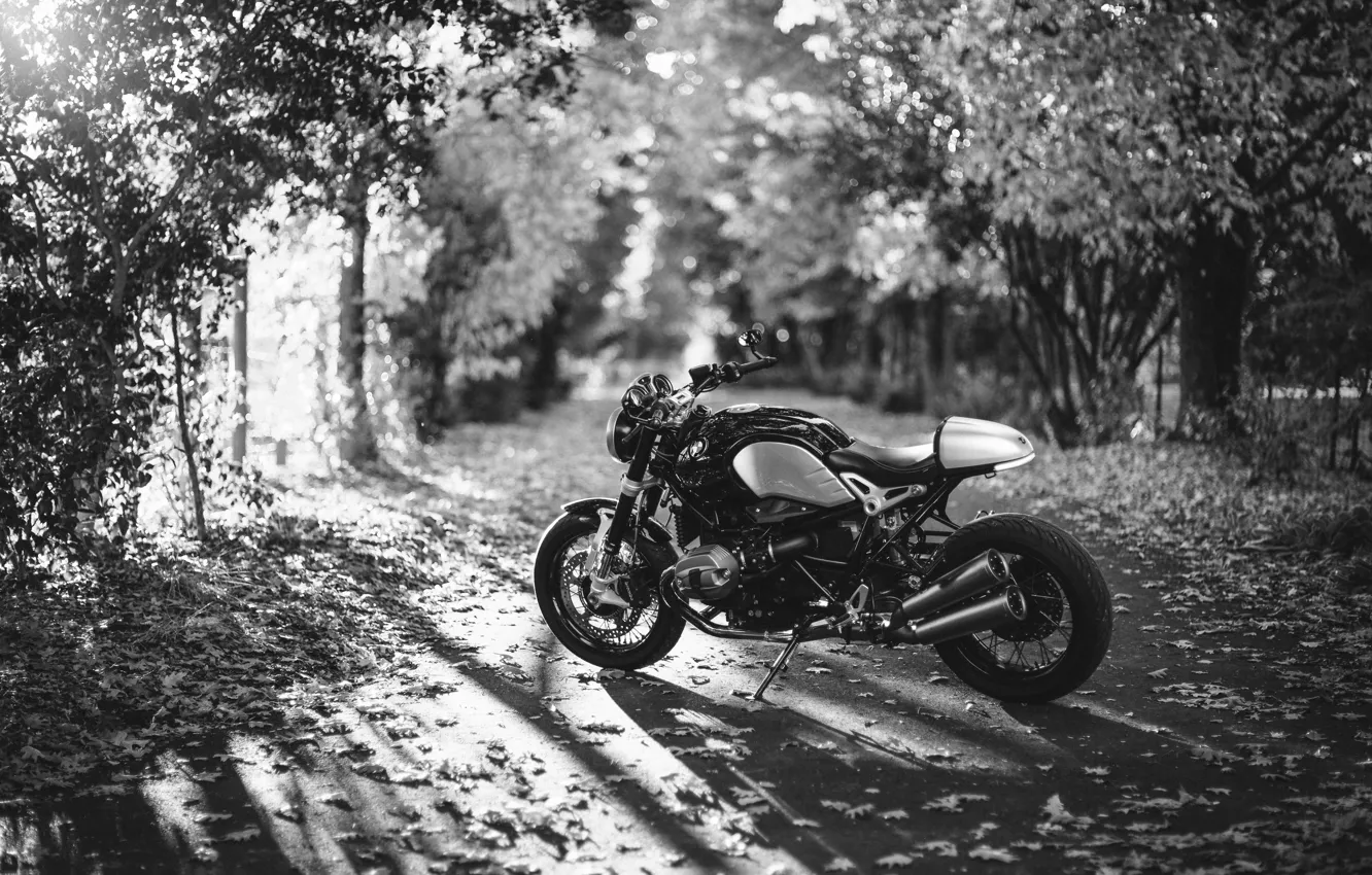 Photo wallpaper road, autumn, leaves, the sun, trees, BMW, motorcycle