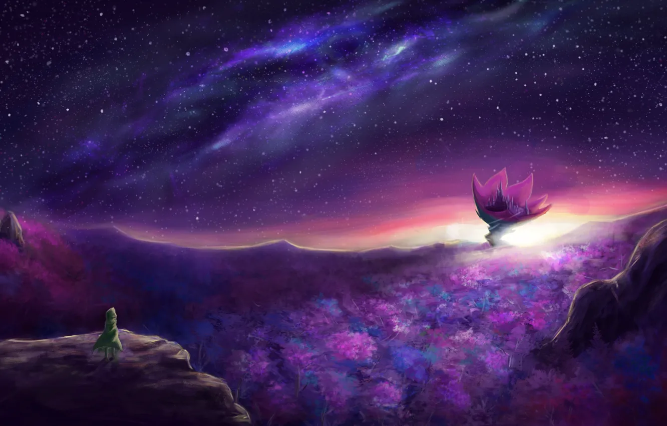 Photo wallpaper flower, the sky, night, nature, castle, people, fantasy, by danielju