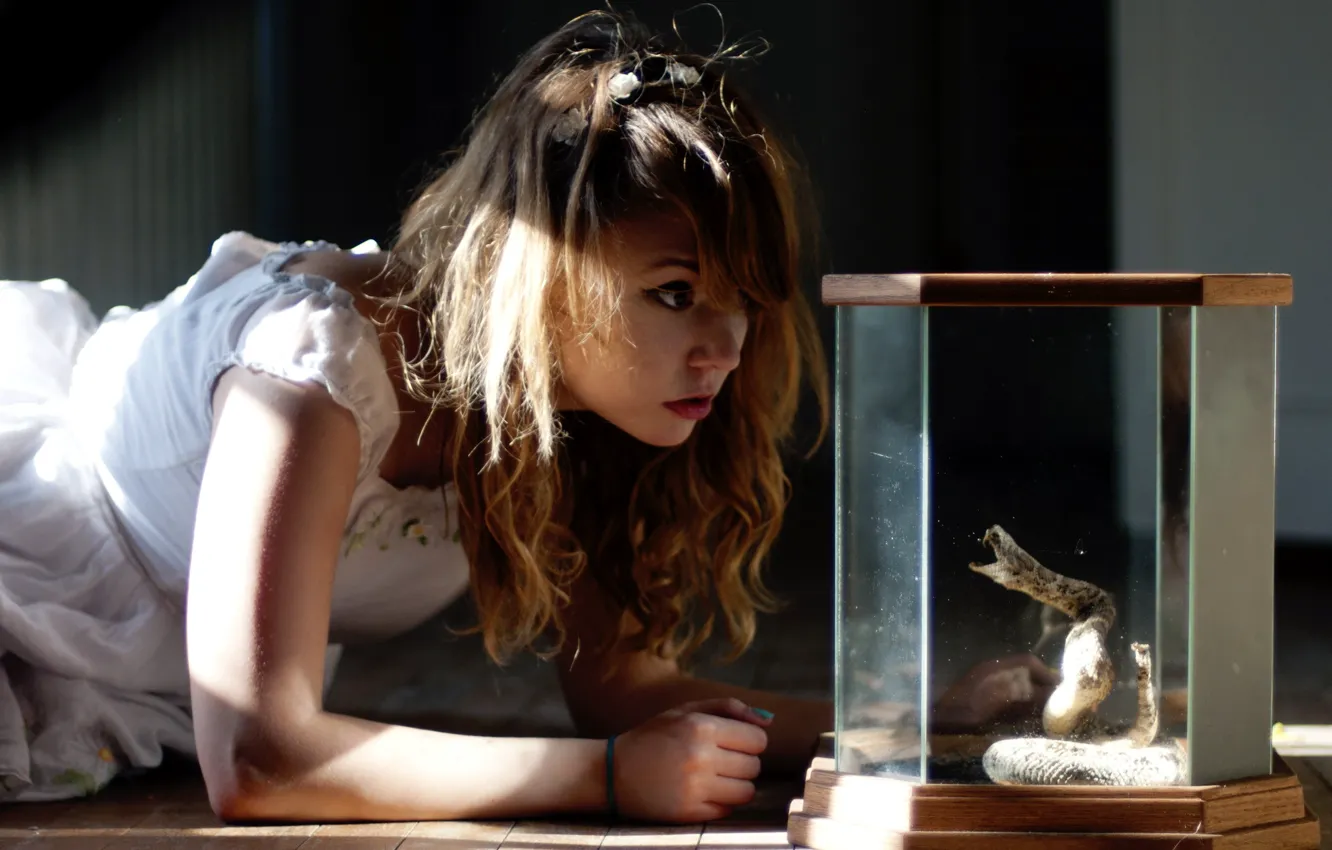Photo wallpaper girl, snake, the situation