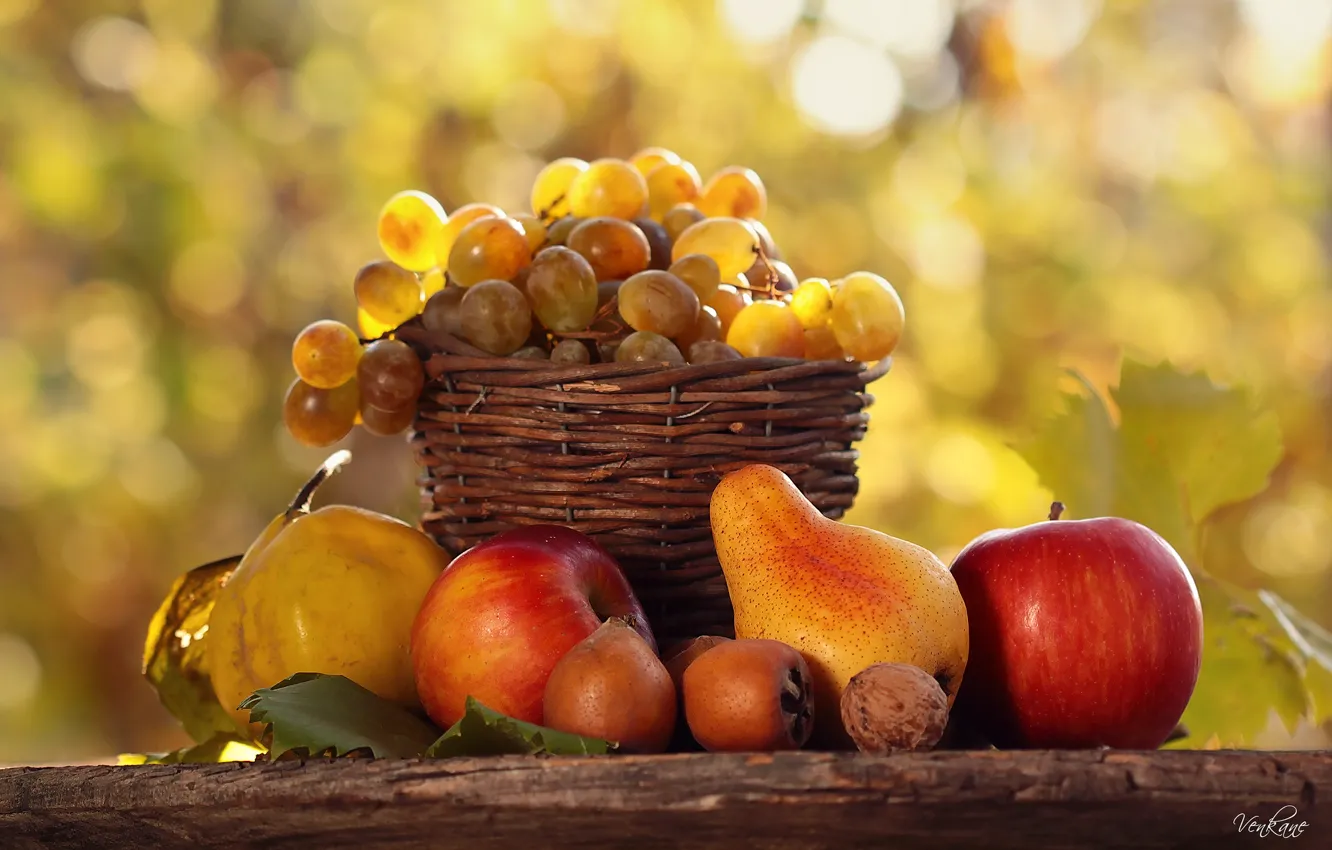 Photo wallpaper autumn, light, table, basket, food, fruit, gifts, nature