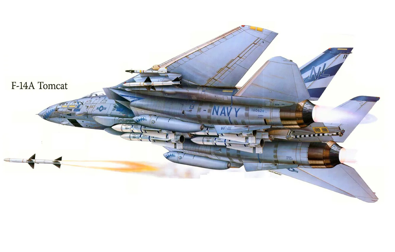 Photo wallpaper the plane, attack, figure, fighter, USA, Tomcat, F-14