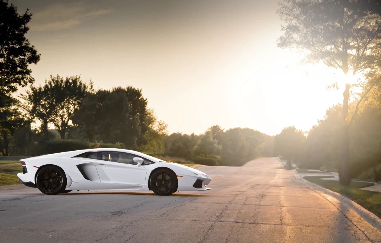 Photo wallpaper road, white, trees, sunset, profile, white, wheels, lamborghini