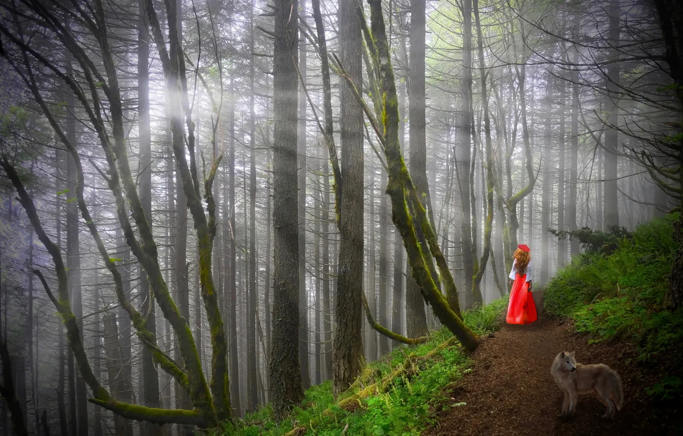 Photo wallpaper forest, wolf, little red riding hood, girl