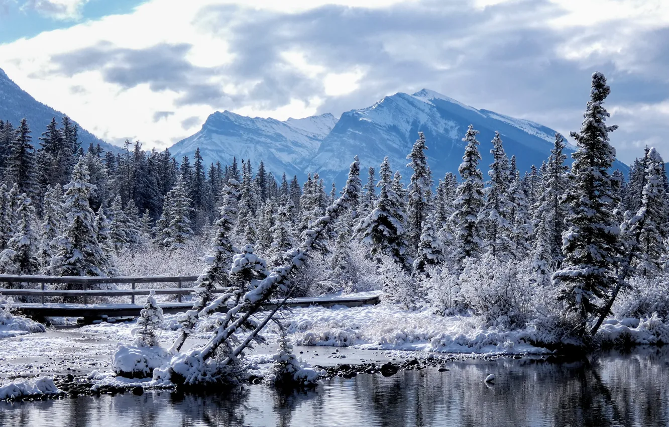 Photo wallpaper winter, forest, the sky, clouds, snow, trees, mountains, bridge