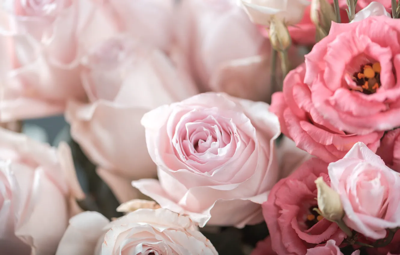 Photo wallpaper flowers, roses, bouquet, pink, eustoma
