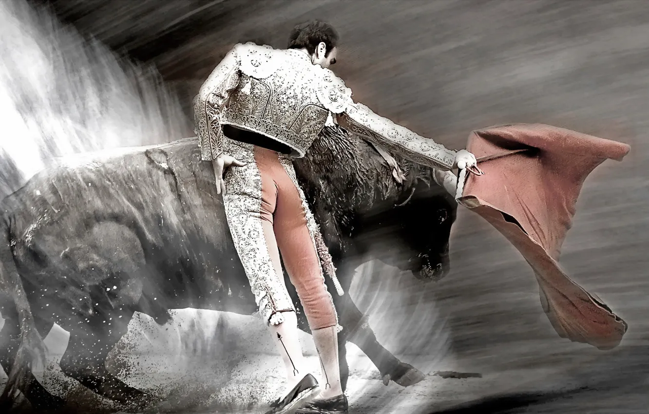 Photo wallpaper Spain, bull, toreador