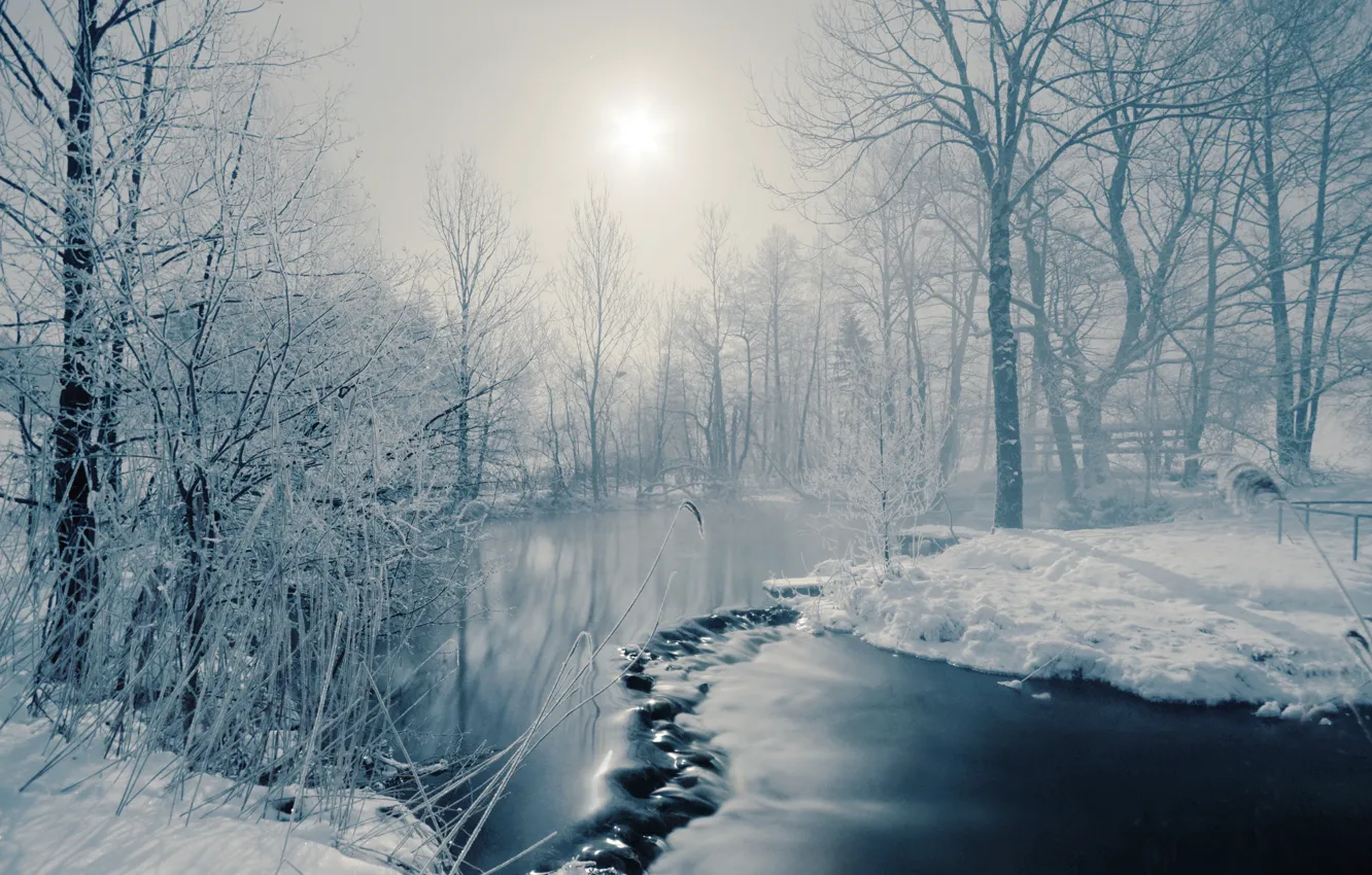 Photo wallpaper winter, the sun, trees, fog, river