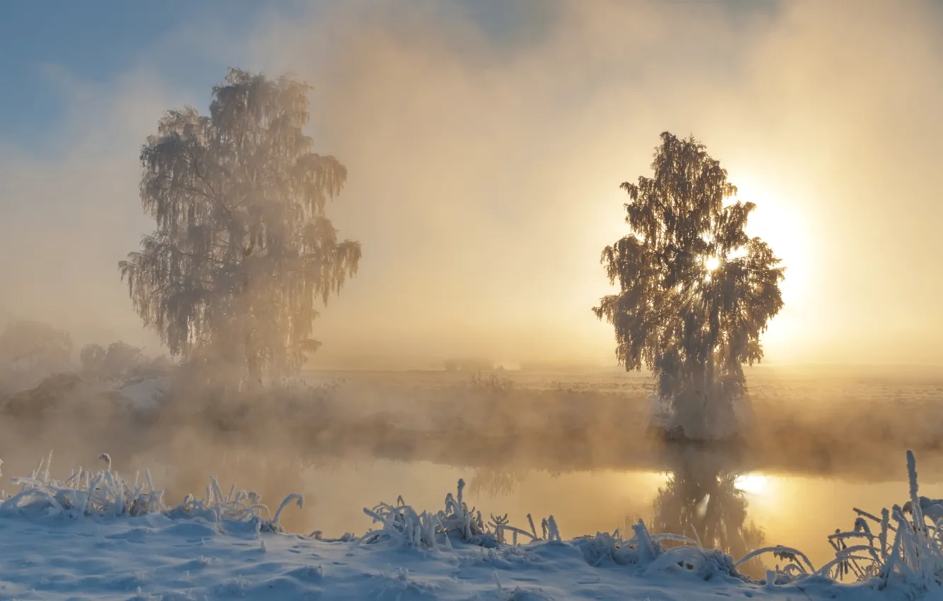 Photo wallpaper winter, frost, the sun, snow, trees, river