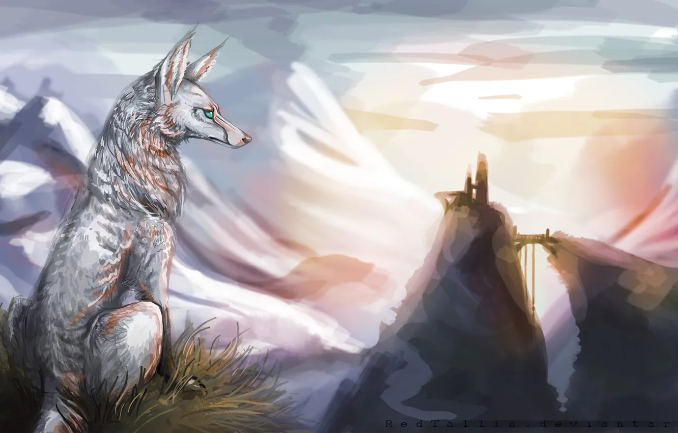 Photo wallpaper mountains, nature, animal, wolf, art