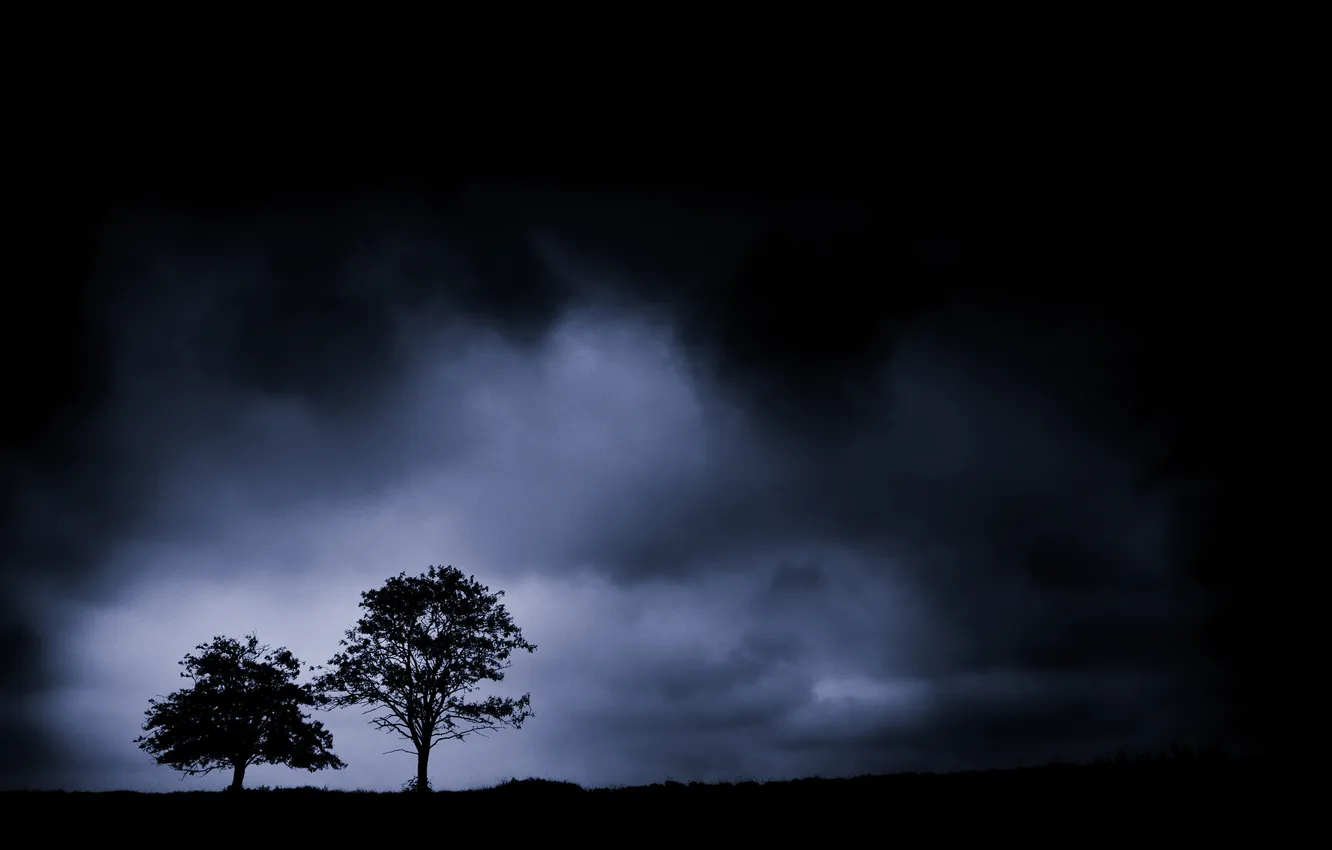 Photo wallpaper the sky, trees, landscape, night, nature, fog, silhouette