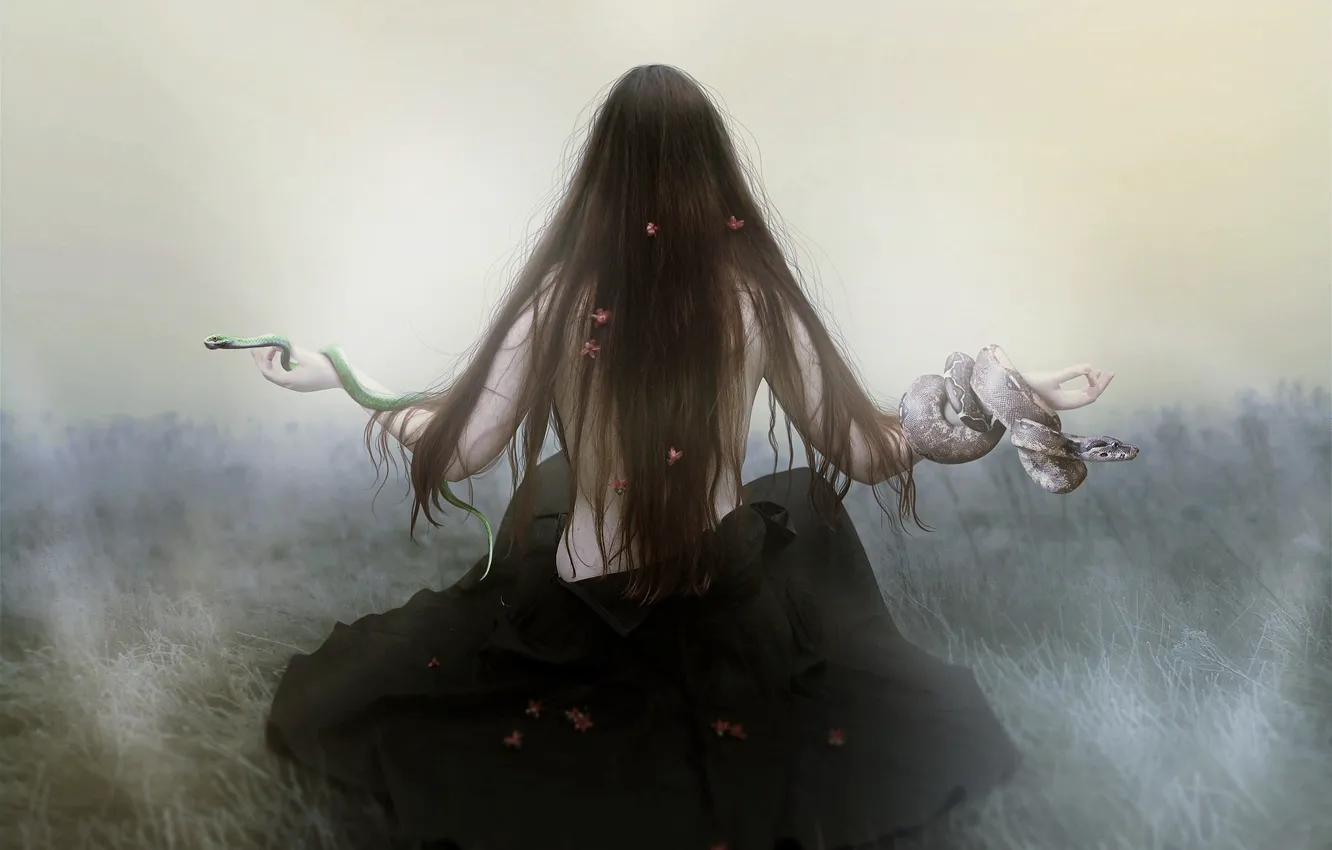 Photo wallpaper girl, hair, photoshop, snake, photoart