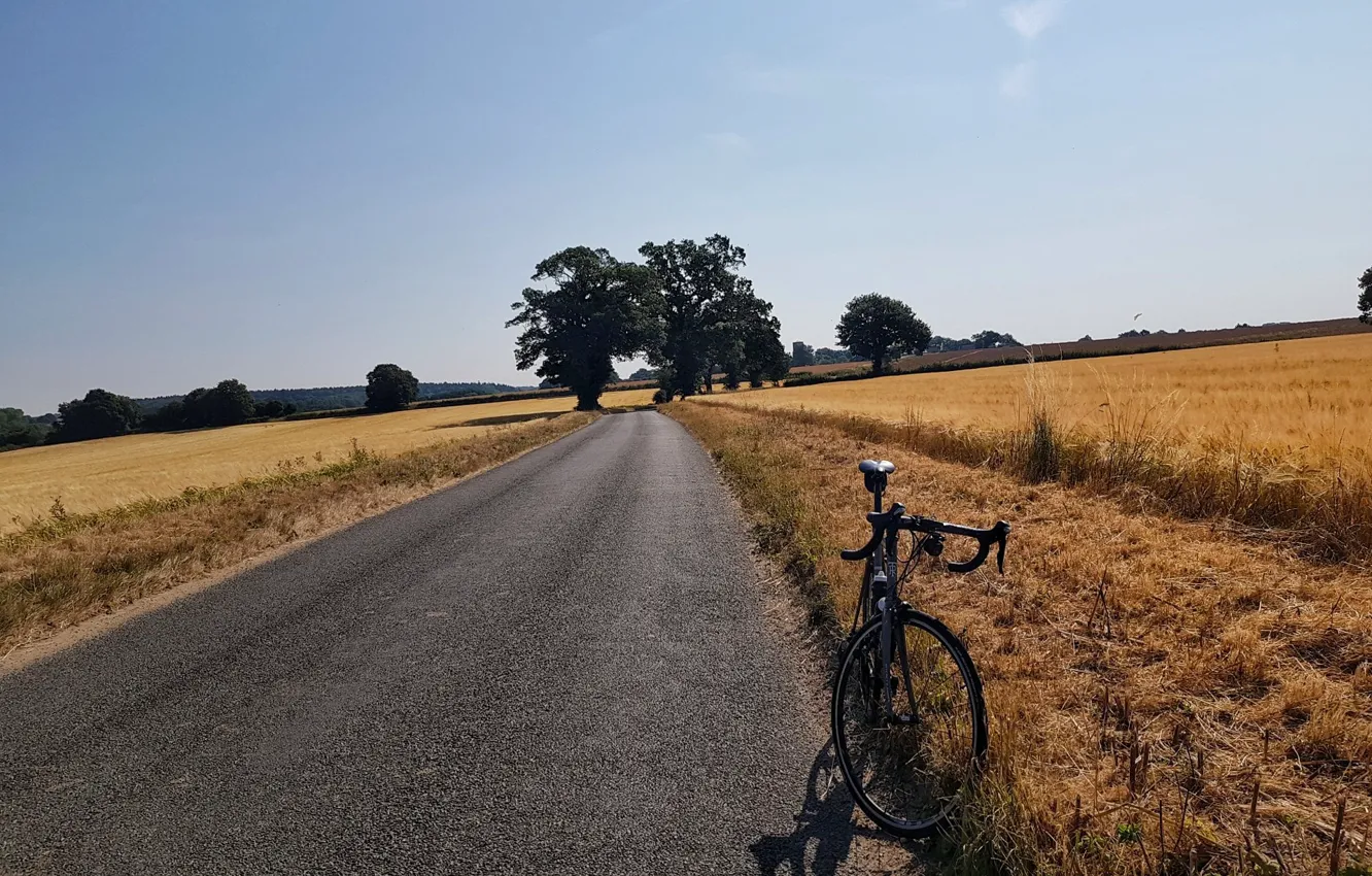 Photo wallpaper road, field, summer, bike, halt, road Builder