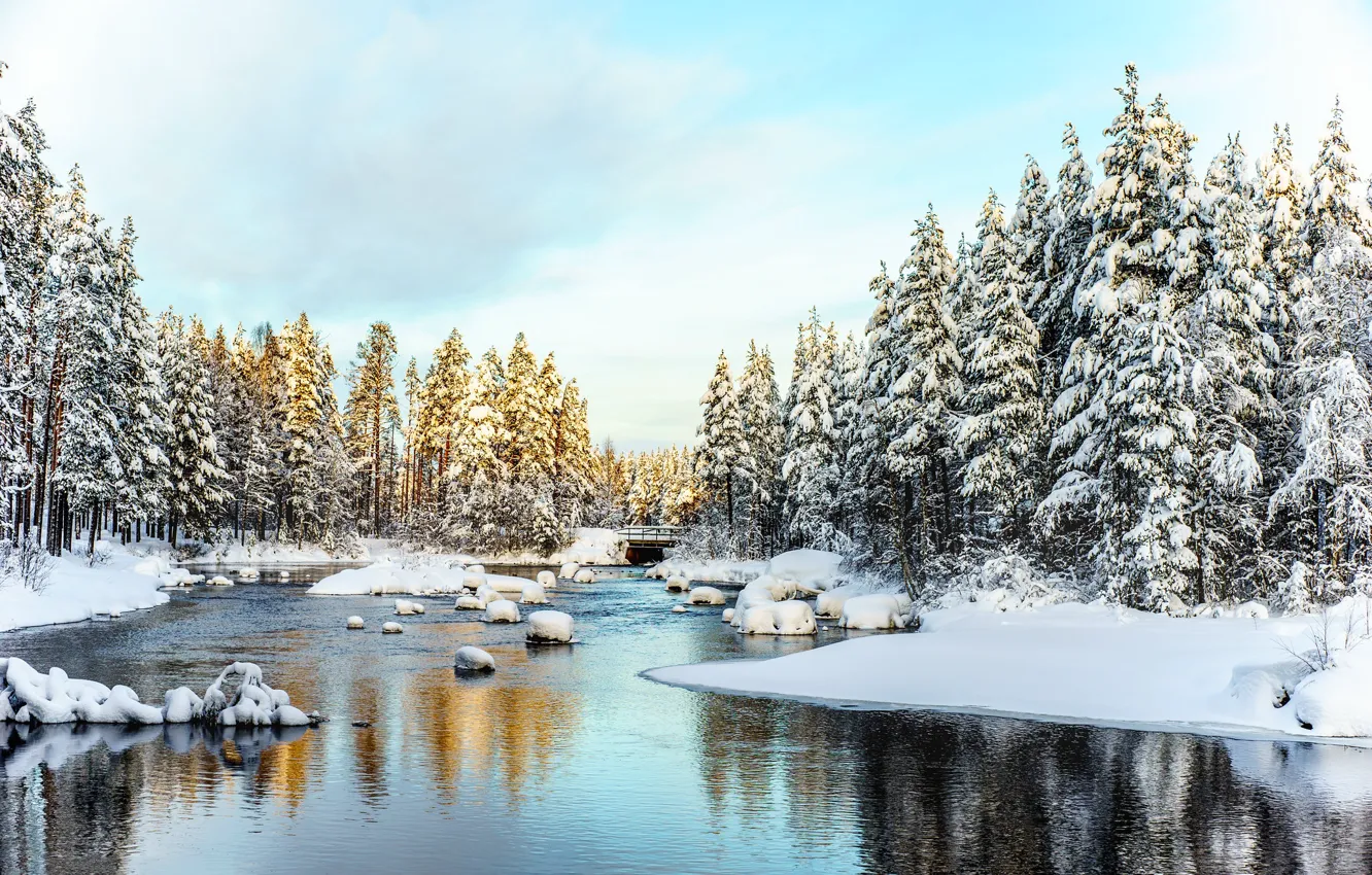 Photo wallpaper winter, frost, forest, water, light, snow, reflection, river
