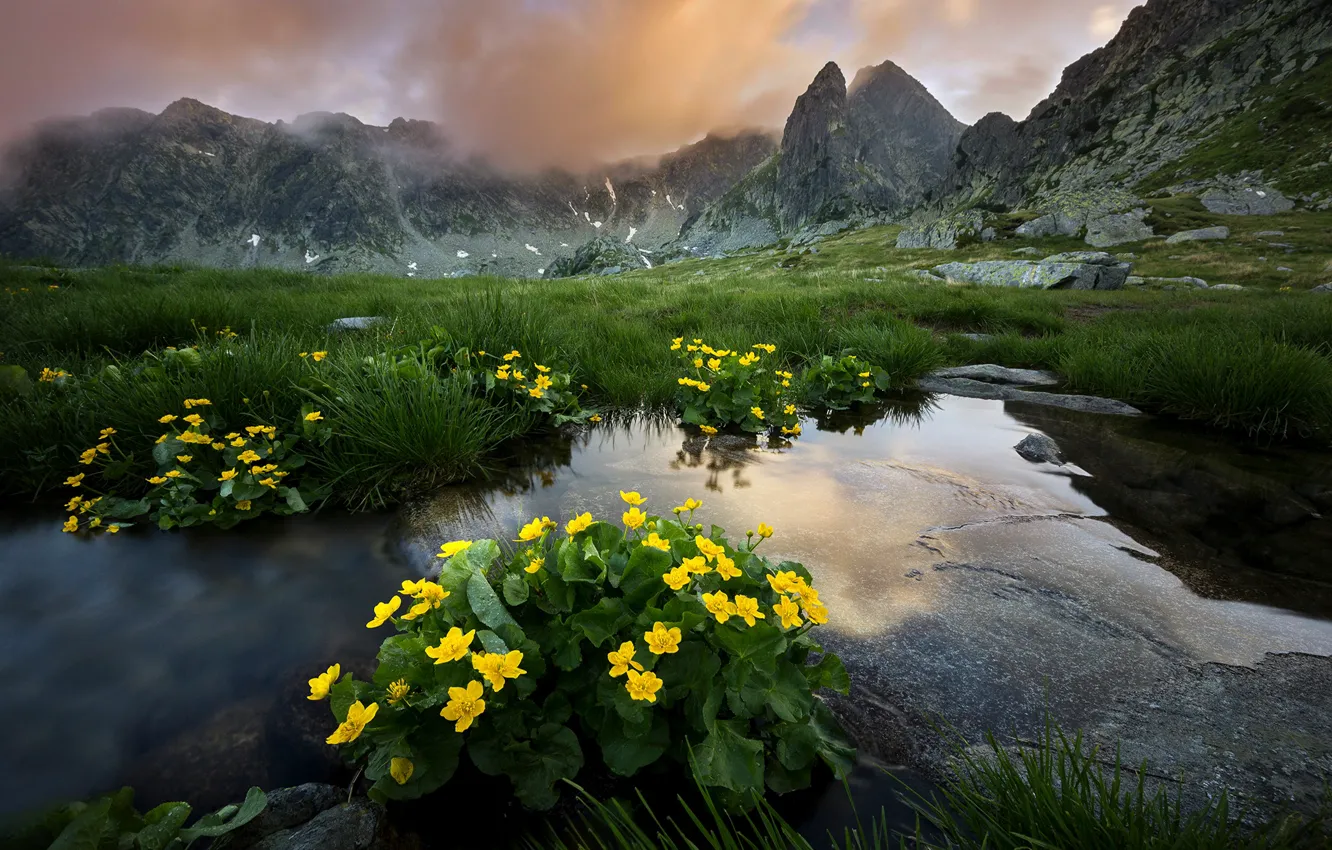 Photo wallpaper summer, grass, clouds, landscape, flowers, mountains, nature, national Park