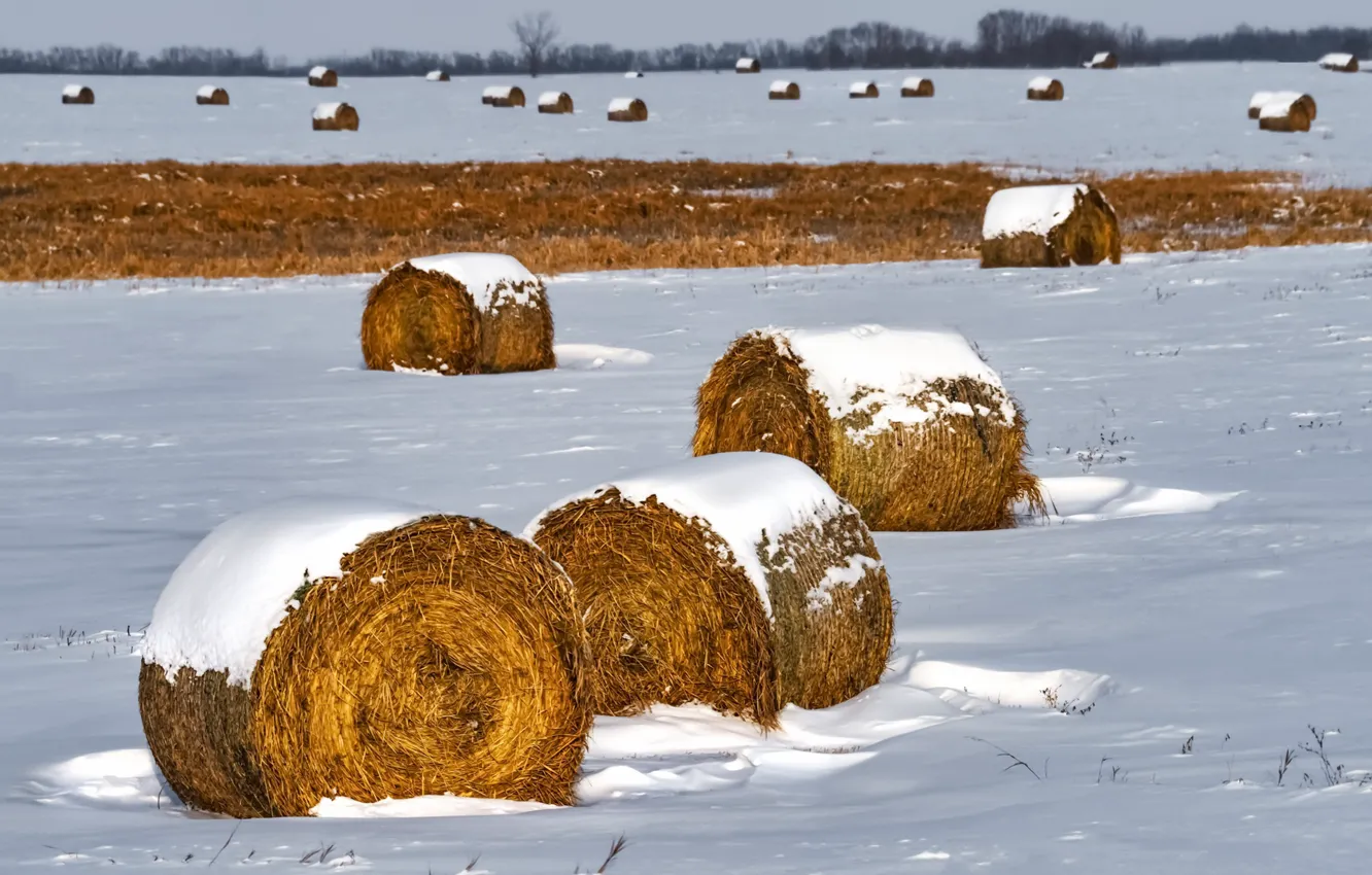 Photo wallpaper field, snow, hay