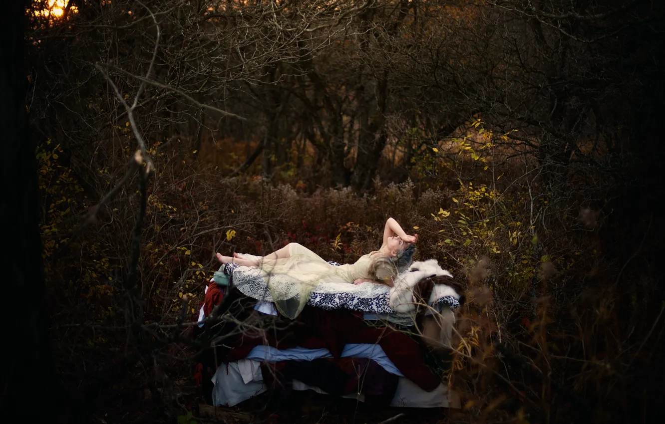 Photo wallpaper forest, girl, fairy tale, Princess and the Pea, Hans Christian Andersen