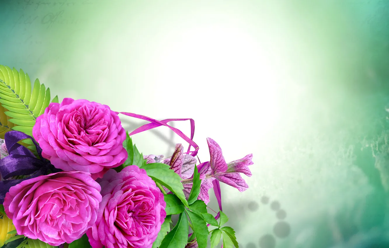 Photo wallpaper roses, roses, template, template