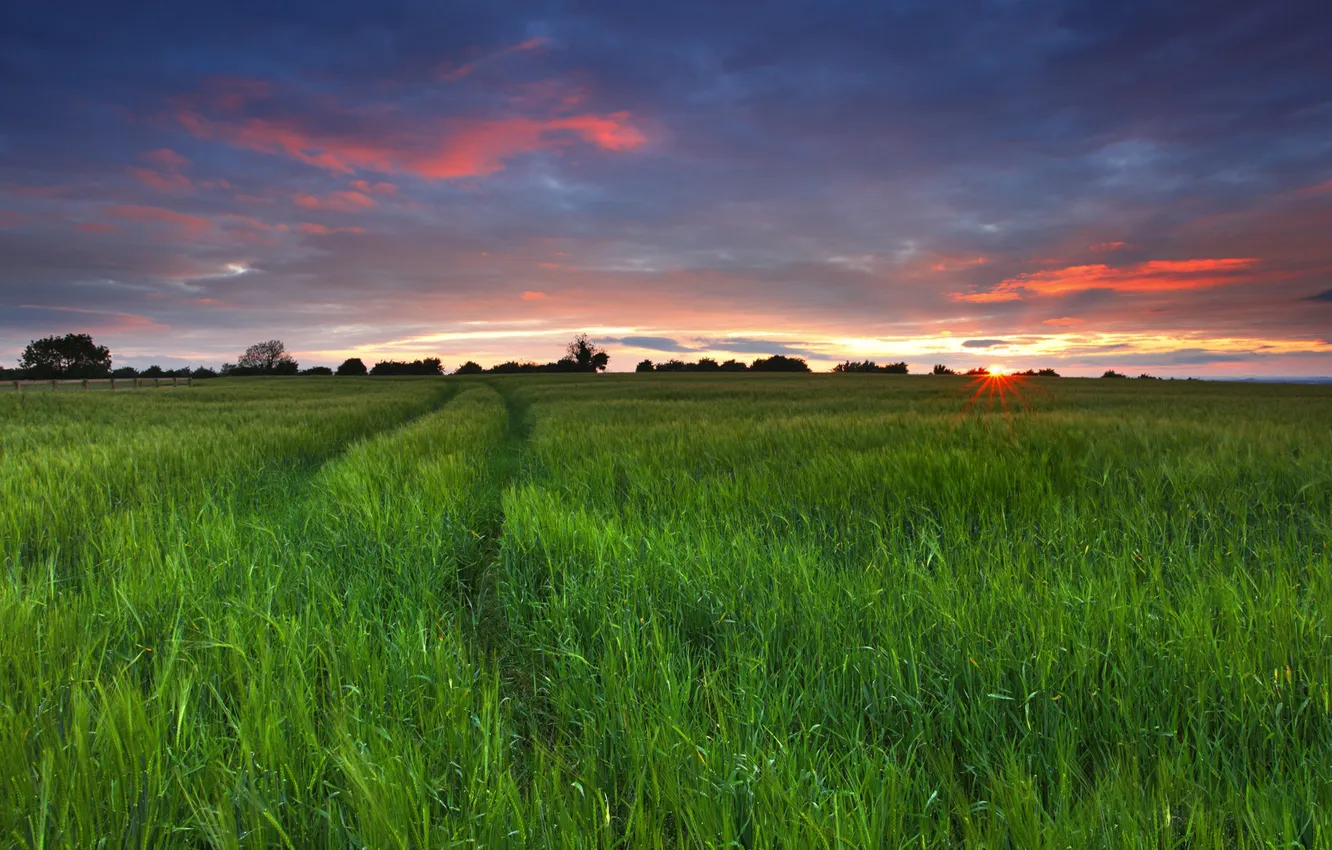 Photo wallpaper field, the sky, the sun, rays, sunset, traces